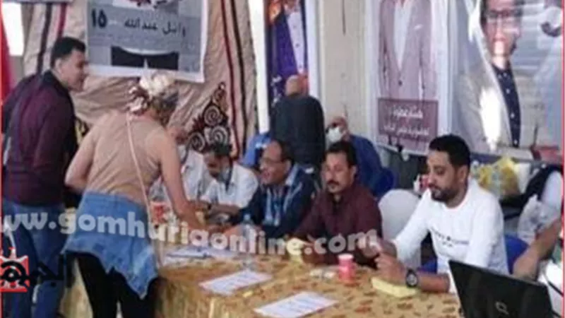 اكتمال النصاب القانونى لانتخابات التجديد النصفي لنقابة المهن التمثيلية