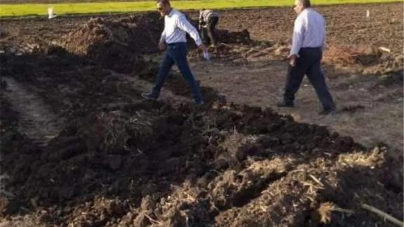 الأجهزة التنفيذية تتصدى لتعديات البناء على الأرض الزراعية فى الشرقية.. بالصور