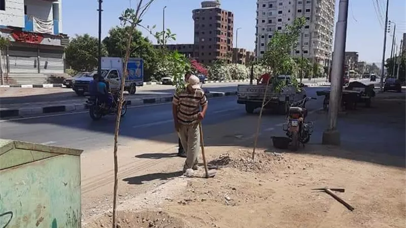 زراعة ٣٢٥ شجرة على الطرق الرئيسية وأمام المدارس فى أخميم بسوهاج..صور