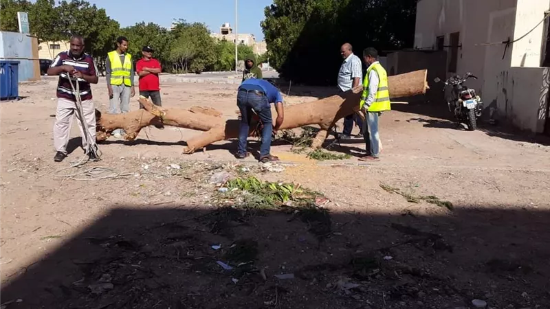 رئيس مدينة رأس غارب: استمرار حملات النظافة النهاريه والمسائيه