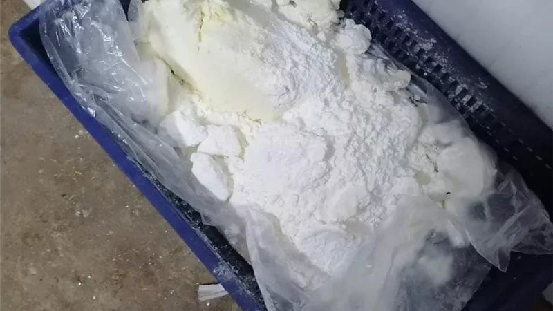 ضبط مصنع ألبان غير مرخص و تحرير مخالفات لمخابز خلال حملات رقابية بمركز مطاي بالمنيا