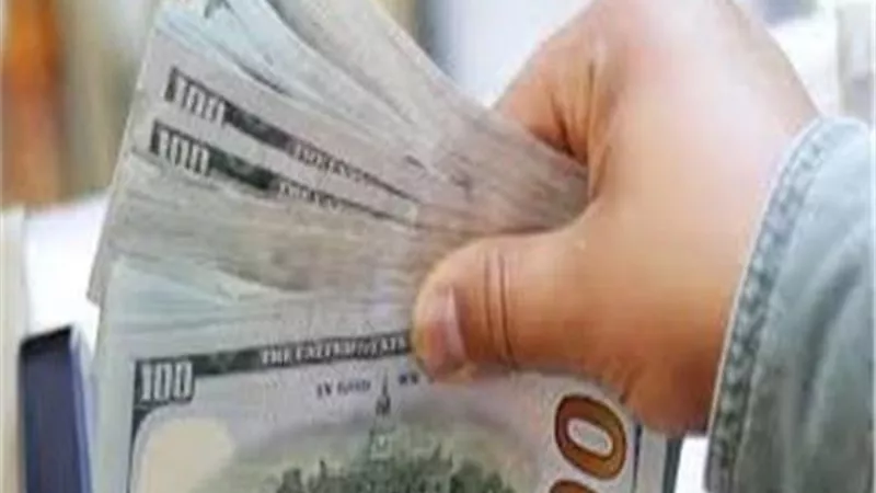 بحجم تعاملات 7،8 مليون جنيه .. الشقيقان تاجرا عملة