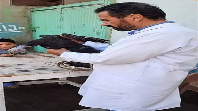 جامعة الزقازيق توجه قافلة بيطرية مجانية لقرية كفر العلماء مركز فاقوس