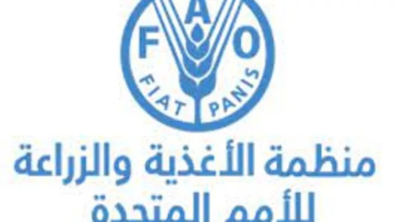 الممثل الإقليمي للفاو: 73% زيادة في أسعار الزيت عالميا هذا العام