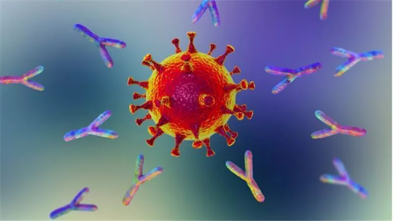 أخصائى أمراض معدية يكشف عن عدد الأجسام المضادة للوقاية من متغيرات كورونا