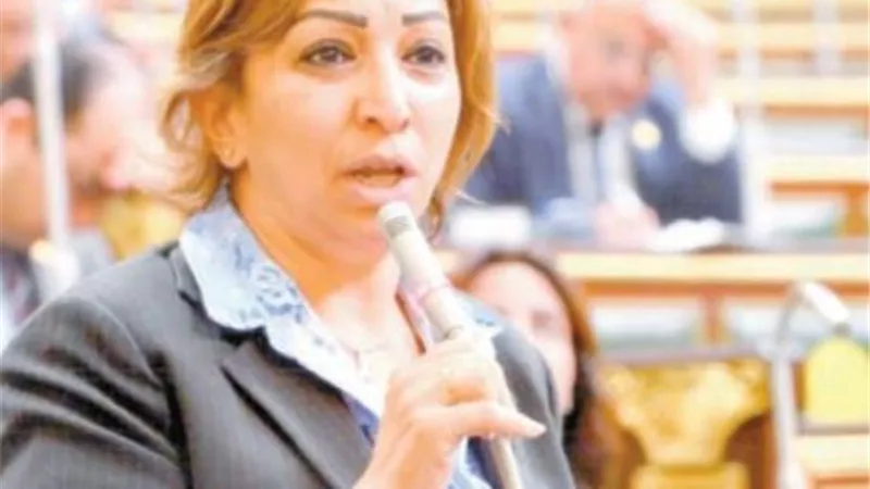 النائبة مها عبدالناصر ننتظر تقنين التوك توك