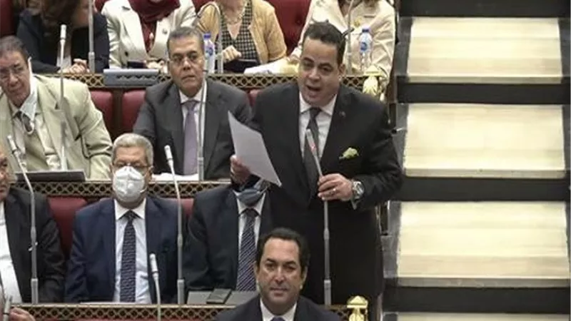 بالفيديو.. مداخلة النائب عصام عفيفي بطلب اعادة مداولة علي المادة الأولي من قانون التخطيط
