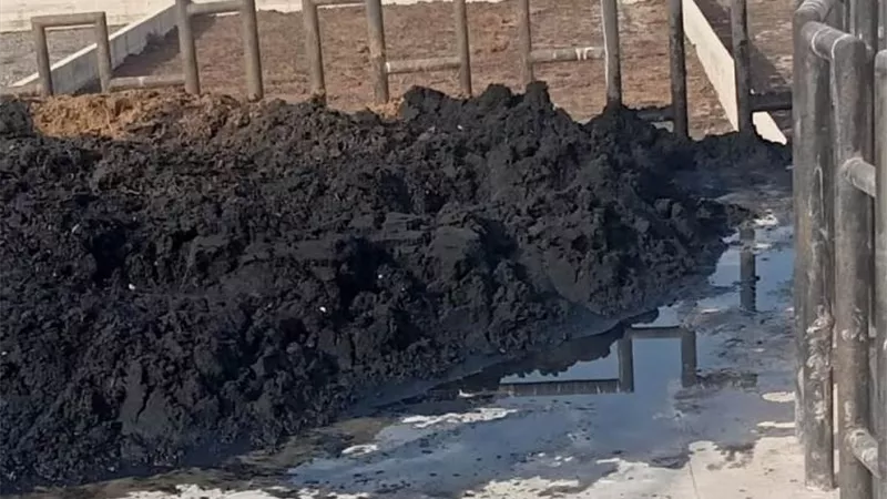 مياه القناة تكثف حملات تطهير بيارات محطات الصرف الصحي..صور