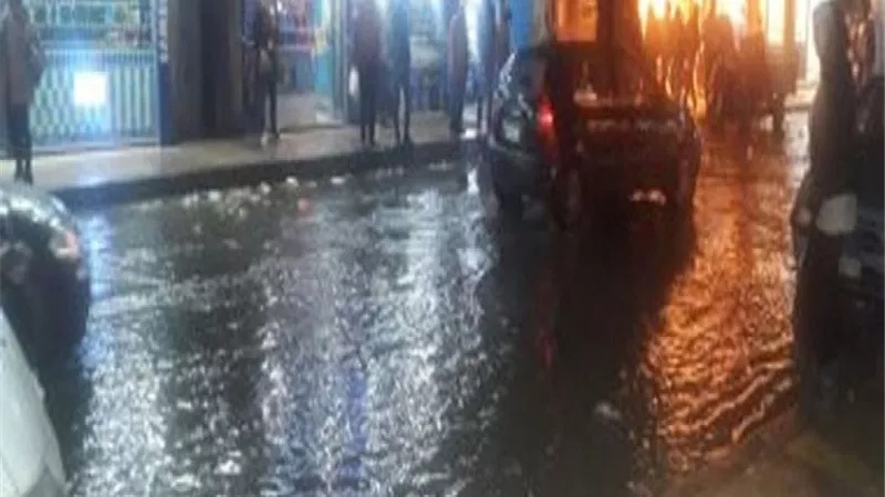 محافظ أسوان: سنوفر كميات كبيرة من الأمصال لعلاج الحالات المصابة بلدغات العقارب والثعابين