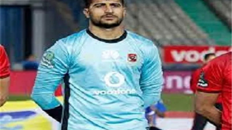 على لطفى