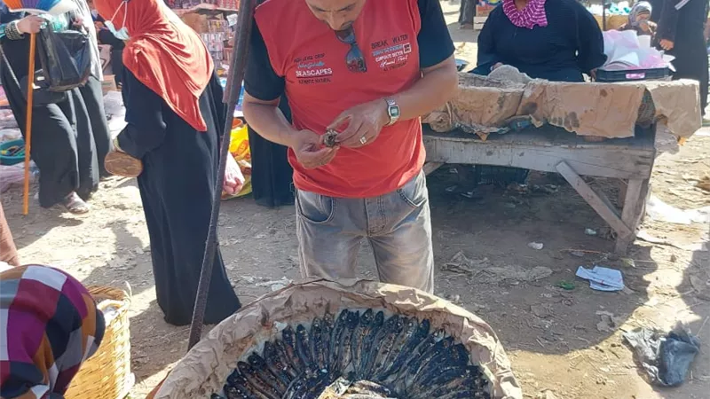إعدام ٢ طن أغذية فاسدة وغلق ١٣ منشأة غذائية بكفر صقر وأولادصقر وبلبيس والقنايات والحسينية