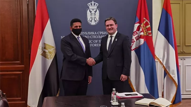 سفير مصر في بلجراد يلتقي وزير خارجية صربيا