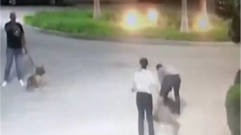 شاهد بالصور: لحظة هجوم كلب على الفنانة انوشكا امام منزلها