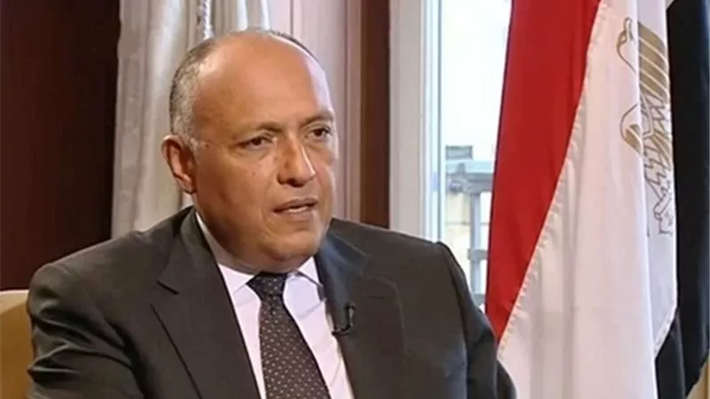 شكرى يعقد جلسة مباحثات مع نائب رئيس المجلس الرئاسي الليبي