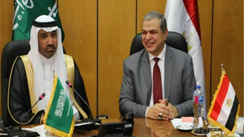 سعفان يبحث مع نظيره السعودي الربط الإلكتروني لتقنين أوضاع سفر العمالة