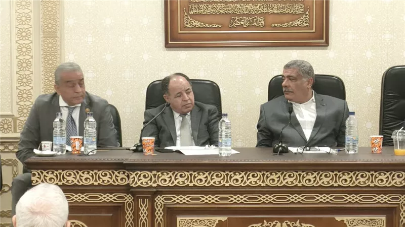 وزير المالية: بحلول ٣٠ يونيو المقبل سيتم حل أغلب المشكلات الضريبة
