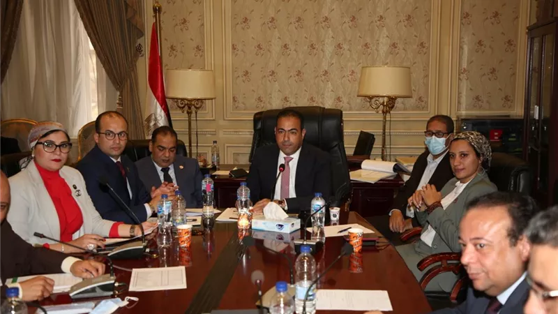 بحضور أشرف صبحي.. رياضة النواب تعقد إجتماعاً لوضع استراتيجية متكاملة لتطوير مراكز الشباب