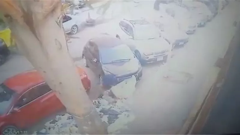 بالفيديو.. محافظة الجيزة تضبط جامعي قمامه من المنازل يلقون بالمخلفات بالطريق العام
