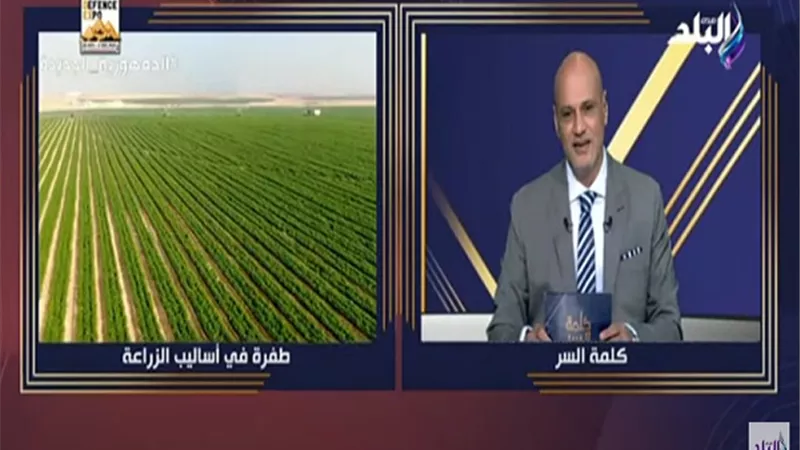 خالد ميري: القمح محصول استراتيجي.. ولدينا مخزون 6 أشهر.. فيديو
