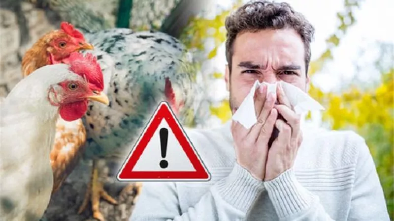 إسرائيل: تسجيل بؤرتين لإنفلونزا الطيور قابلة للانتقال إلى البشر