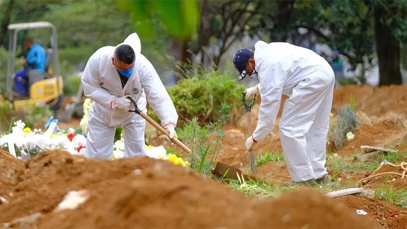 البرازيل: تسجيل 217 وفاة جديدة و8833 إصابة بفيروس كورونا
