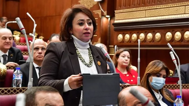 مناقشة مشروع رعاية حقوق المسنين في الجلسة العامة من داخل مجلس الشيوخ