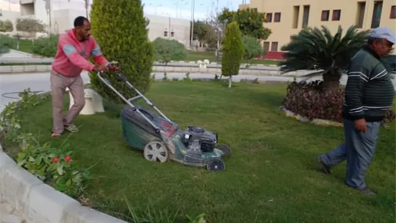 صيانة المساحات الخضراء بمبنى جهاز تنمية شمال خليج السويس