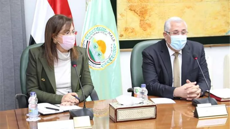 وزيرا الزراعة والتخطيط يبحثان التعاون بين الوزارة وصندوق مصر السيادي في رفع كفاءة الأصول