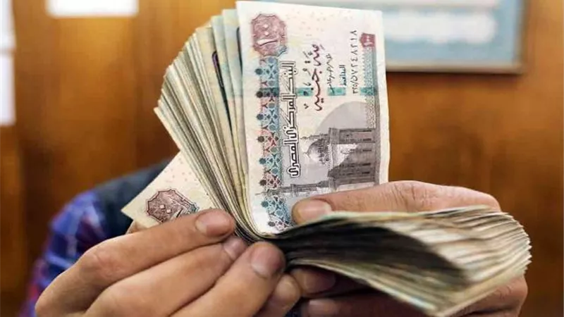 تعرف على مواعيد صرف مرتبات نوفمبر 2021 للعاملين بالقطاع الحكومى