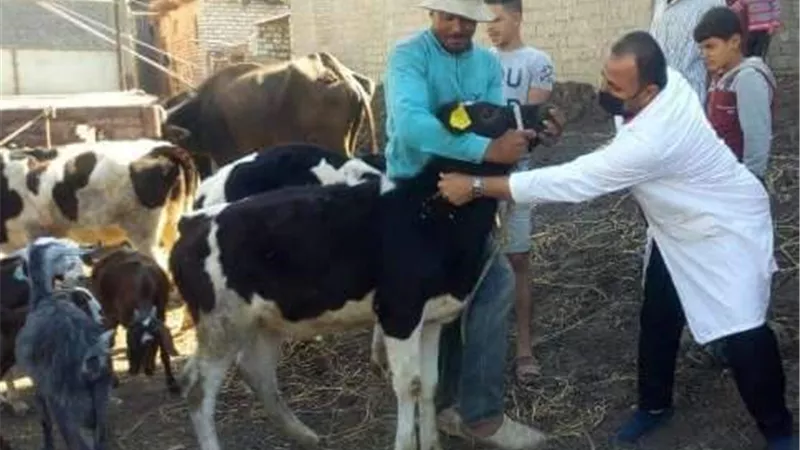 قافلة بيطرية تعالج 1336 طائرا وحيوانا بقرية بالشرقية
