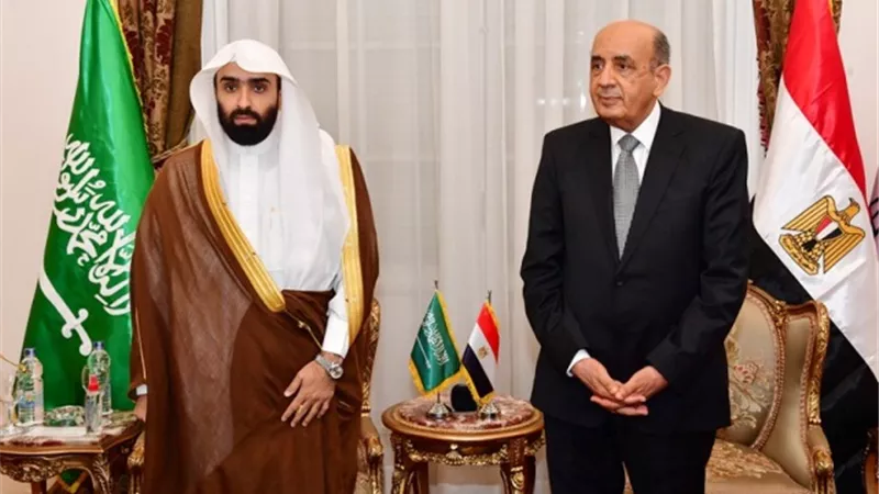 رئيس مجلس الدولة يستقبل رئيس ديوان المظالم السعودي