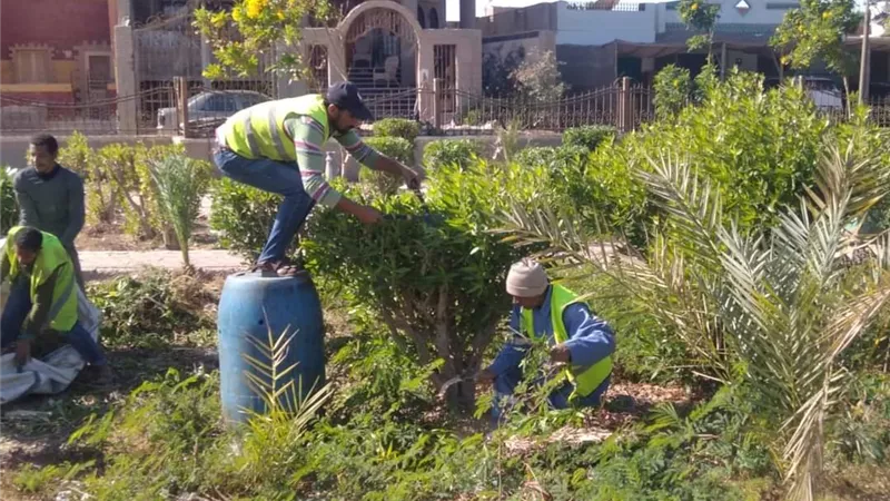 استمرار اعمال النظافه اليومية ورفع المخلفات بجميع شوارع ومناطق راس غارب