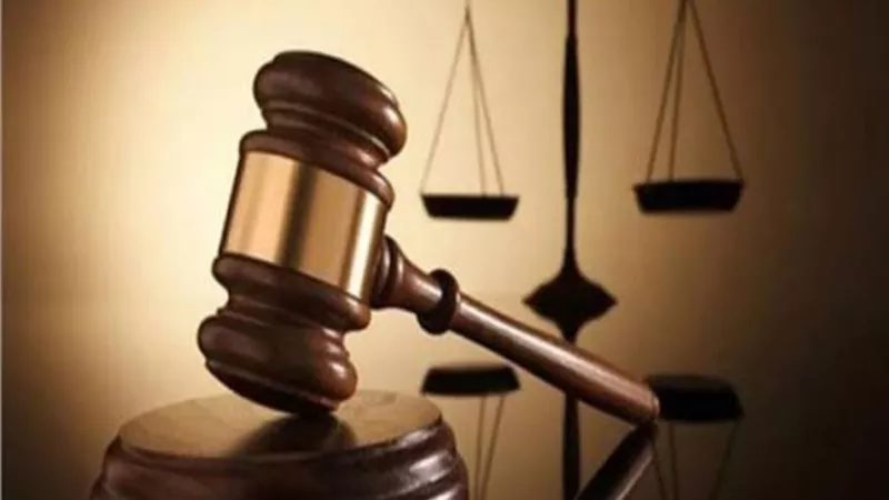 تأجيل دعوى إثبات المتبرع بالأعضاء البشرية بالرقم القومي ل 8 يناير