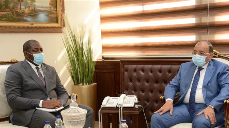 شعراوى يلتقى وفد كاميرونى لاستكمال مباحثات التعاون المشترك بين البلدين في مجال صناعة الأخشاب والأثاث