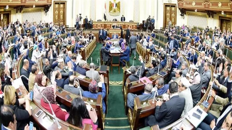 النائبة آية مدني تتقدم بطلب إحاطة لرئيس الوزراء ووزير الزراعة بشأن سهولة تداول حبة الغلة