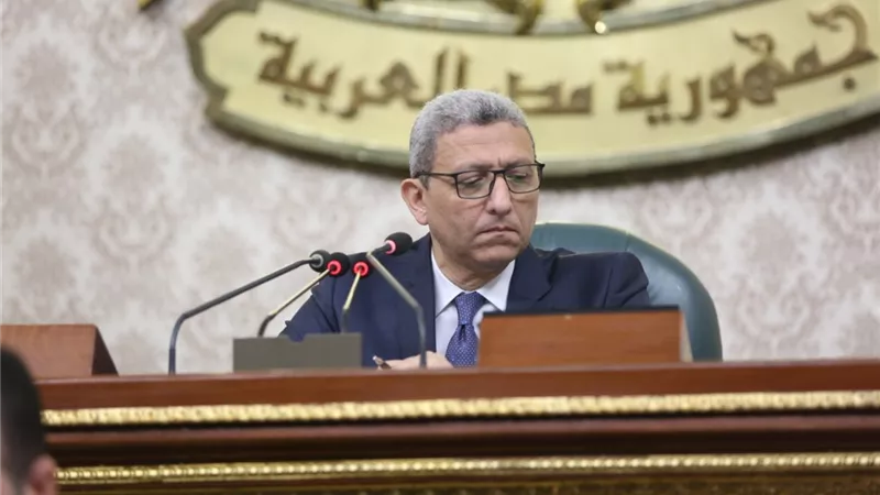 حسام المندوه : مصر الرقمية طوق النجاة في مواجهة الفساد الإداري