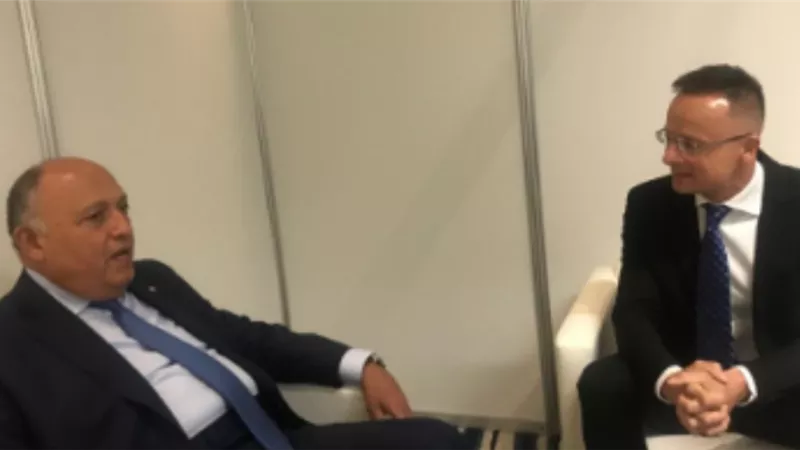 وزير الخارجية يبحث مع نظيره المجري مواجهة التحديات الدولية المتنامية