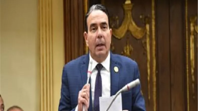 أيمن أبو العلا يطالب بحصر رسمي ودقيق للمصريين بالخارج