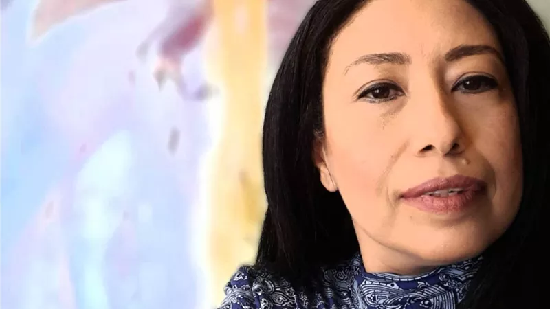 الفنانة التشكيلية وفاء ياديس بين التجريدية والسيريالية فى 