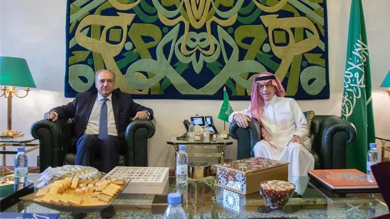 السفير المصري في الرياض يلتقي وزير الشئون الأفريقية السعودي