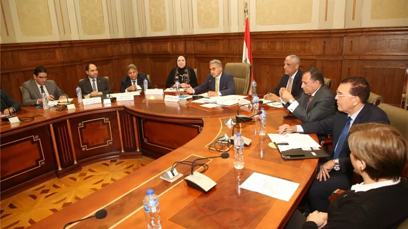وزيرة التجارة والصناعة تستعرض خطة الحكومة لاحلال مركبات التوكتوك امام لجنة الادارة المحلية
