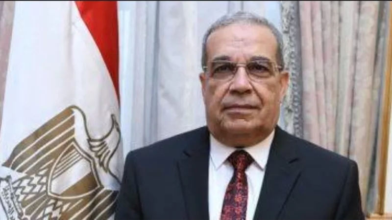 وزير الإنتاج الحربي: معرض إيديكس فخر لكل مصري وعربي.. فيديو