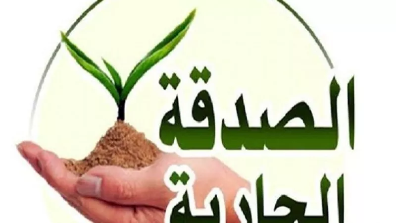 6صور لـ 