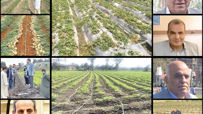 تكلفتها ٥٥.٥ مليار جنيه.. المبادرة الرئاسية تغير الخريطة الزراعية في مصر