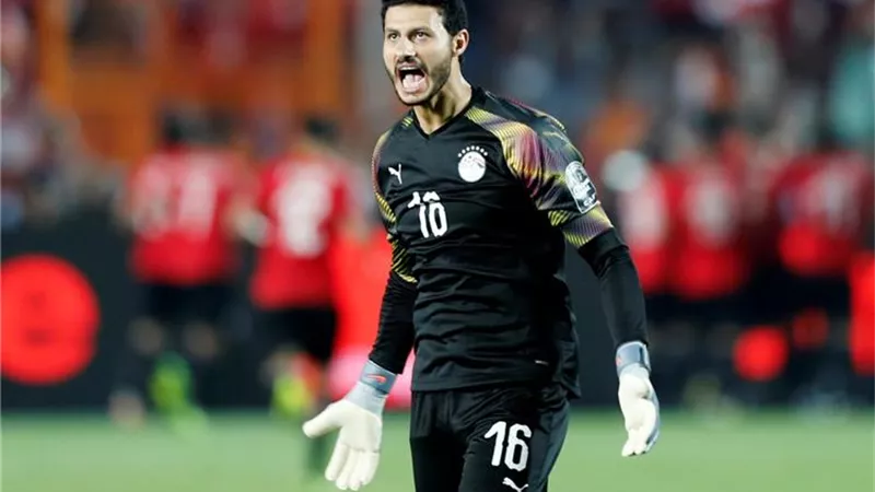 الشناوى: ذهبنا الى قطر للفوز ببطولة كأس العرب