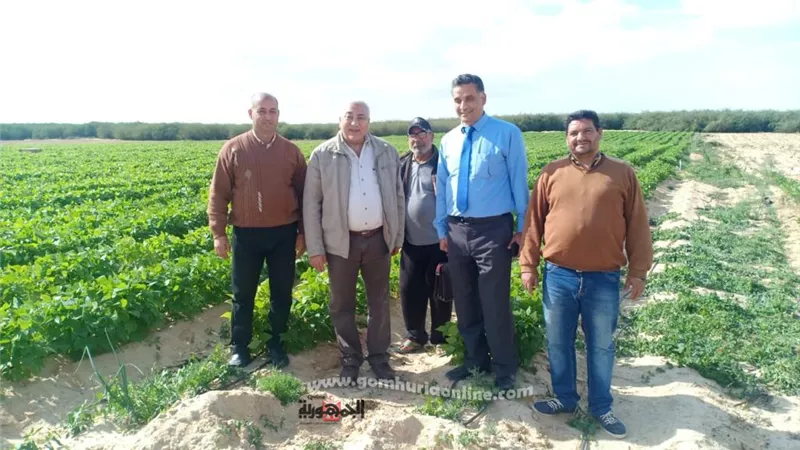 رئيس جامعة السادات يتفقد مزرعة الجامعة لمباشرة زراعات الموسم الشتوى