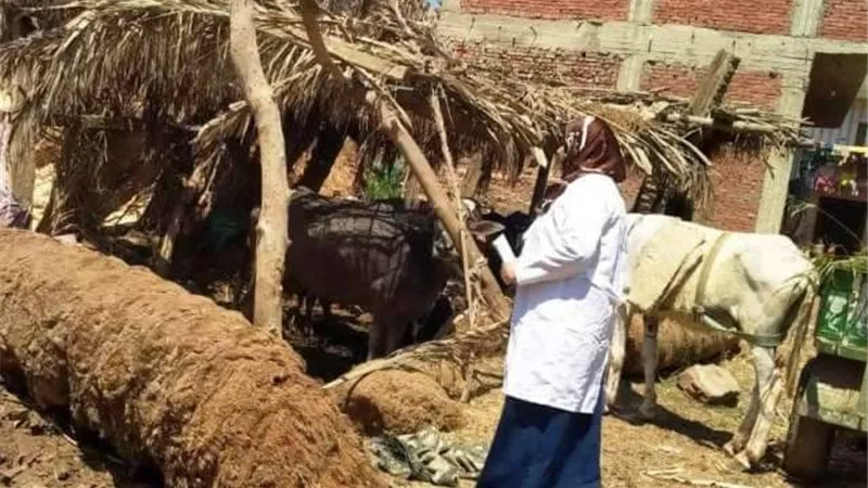 بيطري الشرقية يُجري الترصد الوبائي لـ 613 منزلا في 34 قرية ..صور