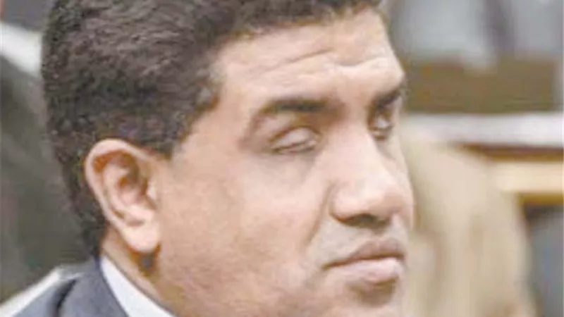 نواب البرلمان: فكرة 