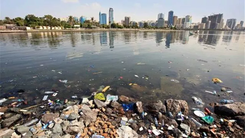 حكم إلقاء القمامة والحيوانات النافقة في مياه النيل