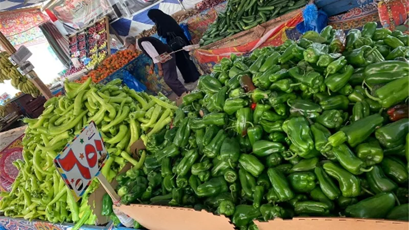 استقرار أسعار الخضر والفاكهة في أسواق الإسماعيلية ..صور